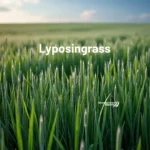 Lyposingrass