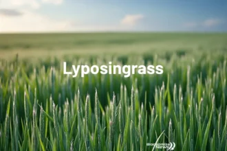 Lyposingrass